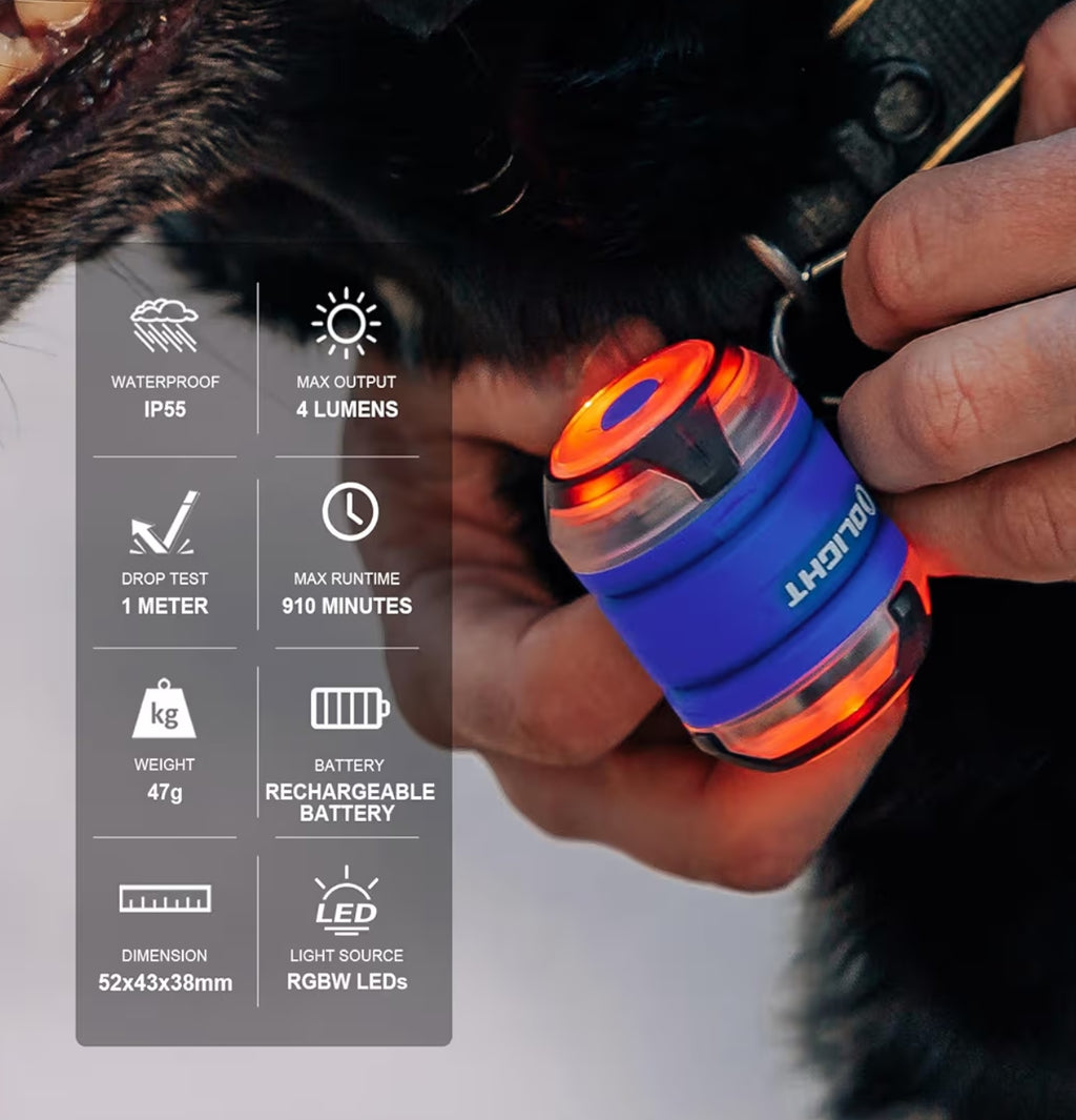 OLIGHT Gober 2 Safety Light (Blue)