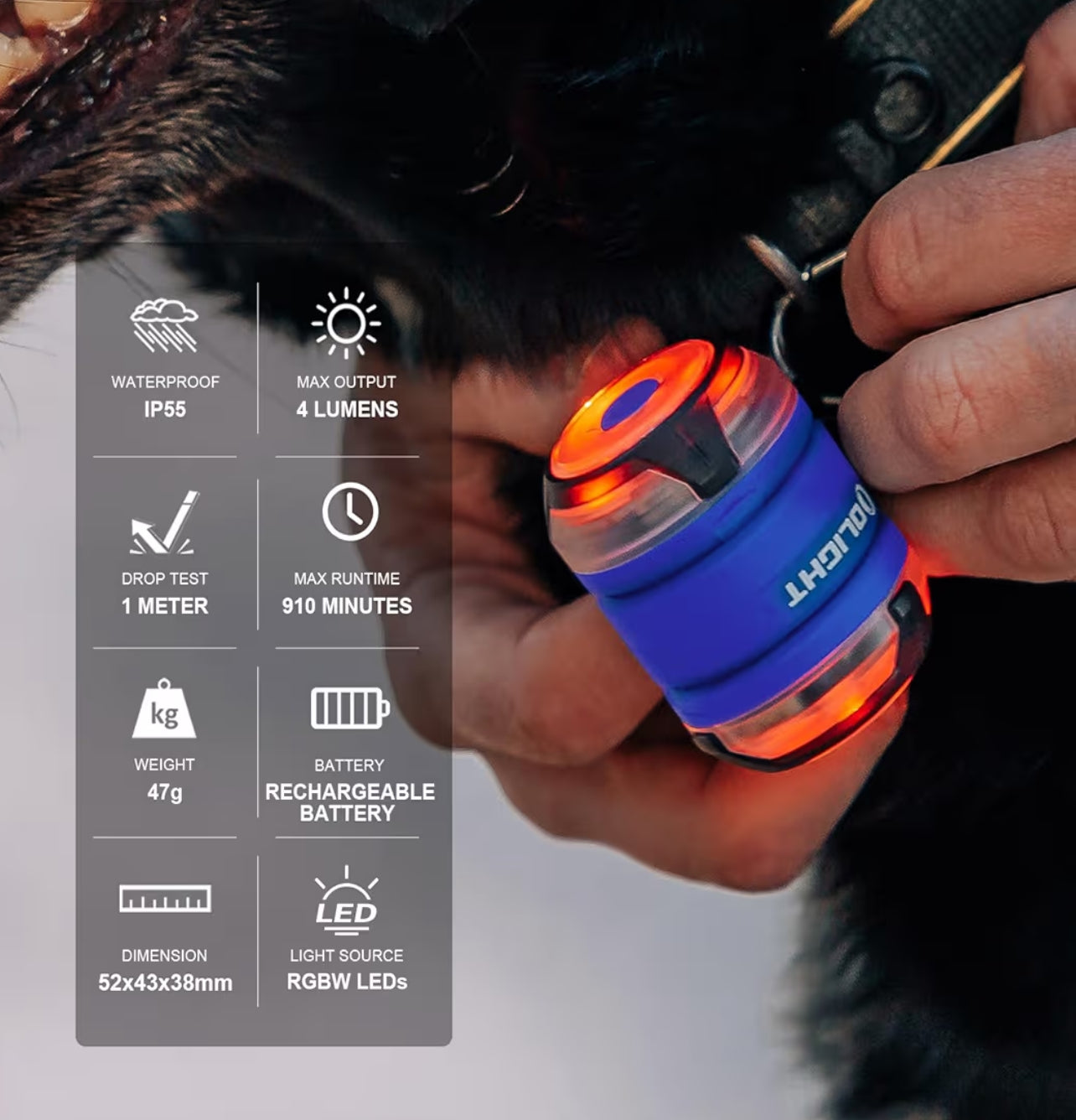 OLIGHT Gober 2 Safety Light (Blue)