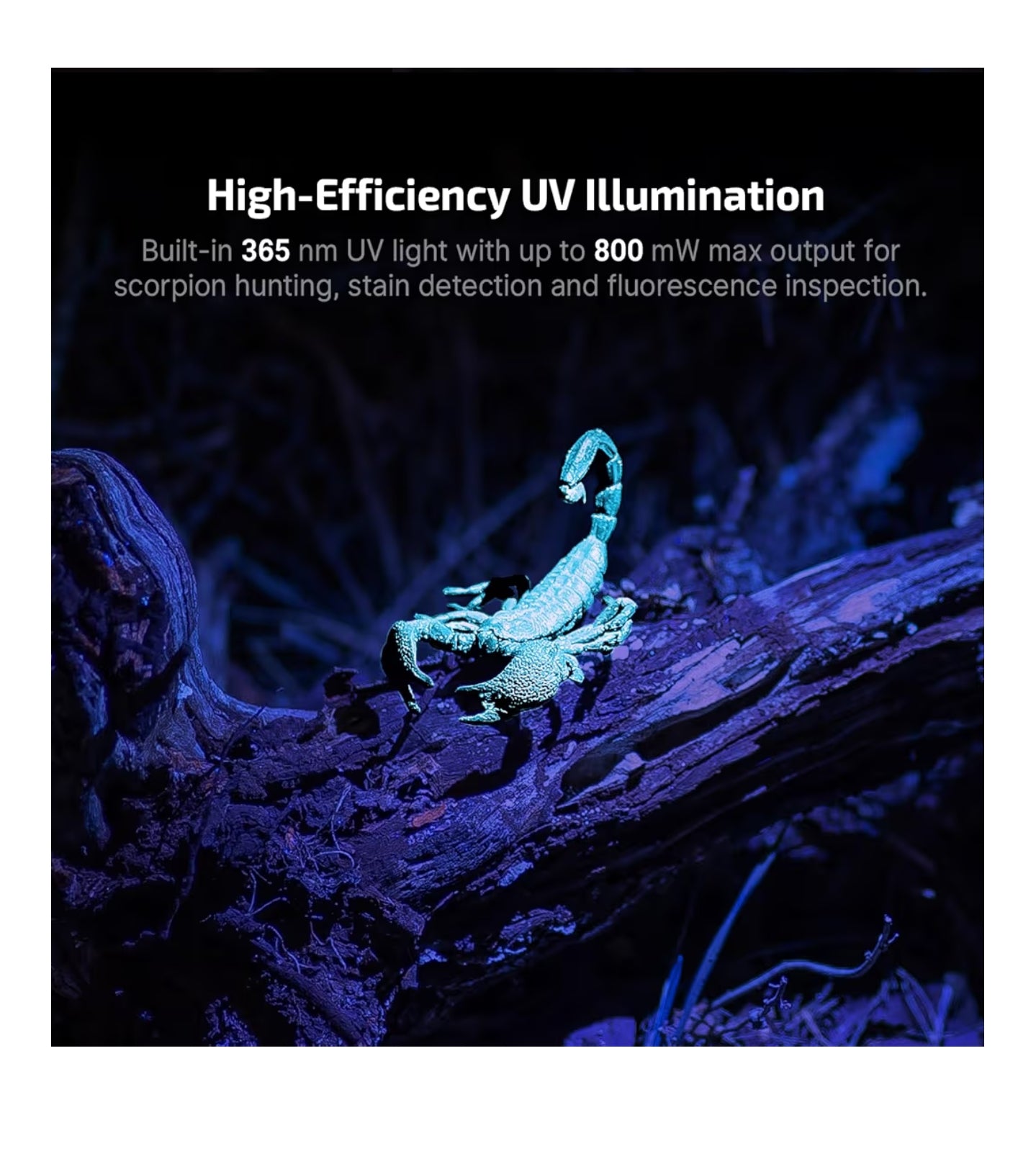 OLIGHT Oclip Pro S (Orange)