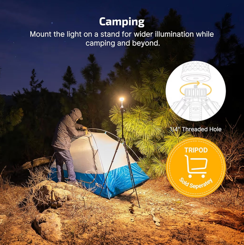 OLIGHT Prowess Bidirectional Light (Black)